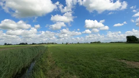 Grassland pasture with clouds Stock Footage 157934811