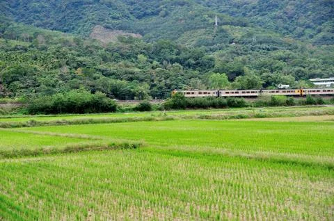 Grassland Stock Photos