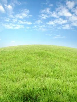 Grassland 스톡 사진