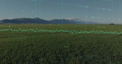 Grassland showing data overlay across horizon on live agri feed, teal nodes Stock Footage 331820425