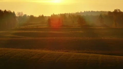 Grassland sunrise Stock Footage 288729086
