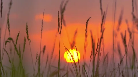 Grassland on sunset sky and clouds background of rural or countryside Vídeo Stock 179583494