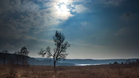 Grassland with trees under blue sky with clouds Stock Footage 61141689