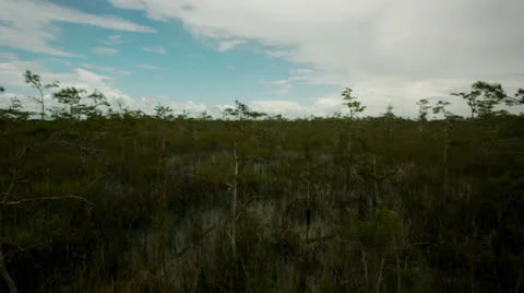 Grassland Under Open Sky Stock Footage 26740302