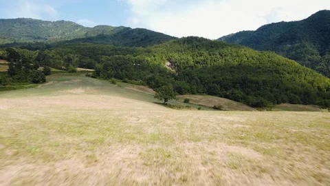 Grassland view and forest, nature path, tourism, rural and adventure concept Stock Footage 162499853