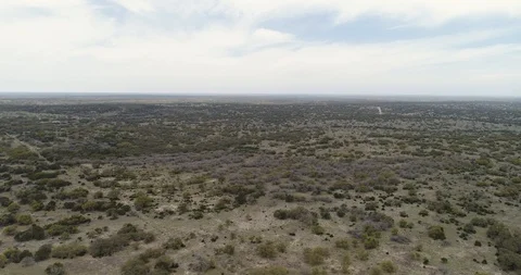 Grasslands and trees in Texas, USA landscape drone aerial 4K Stock Footage 111361553