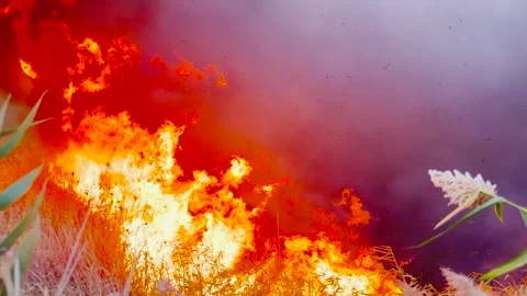 Grasslands burning under scorching heat, Devastation caused by out-of-control Stock Footage 314684607