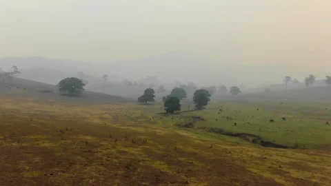 Grasslands enveloped in thick smoke of fire with scattered trees and distant 動画素材 300301898