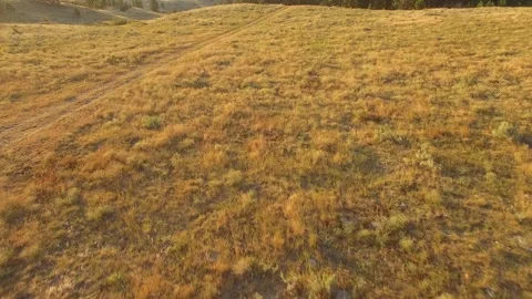 Grasslands fly down, Fairview Stock Footage 243461671