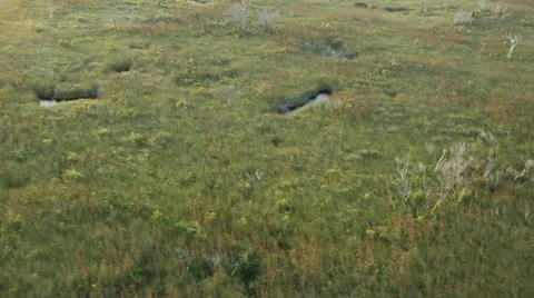 Grasslands Stock Footage 26149930