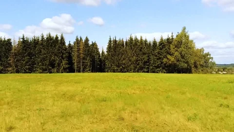 Grasslands Video stock 115317436