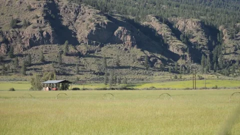 Grasslands in the Mountains Stock Footage 240645632