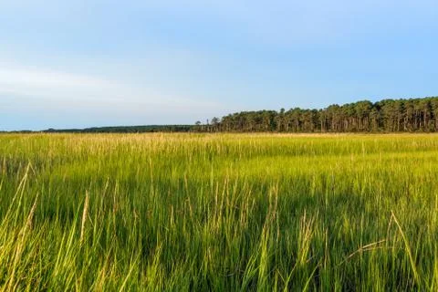 Grasslands Stock Photos