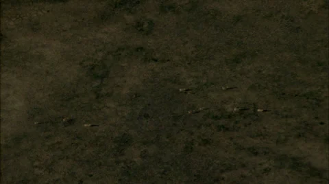 Grasslands Plain Prairie Deer Stock Footage 38089006