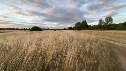 Grasslands In Summer Stock Footage 200917909