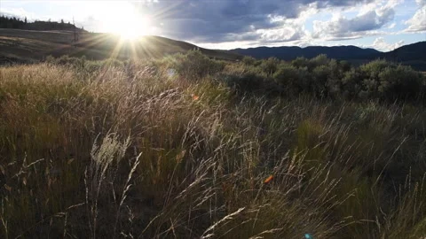 Grasslands sunset over waving grass, 4k Stock Footage 156359635
