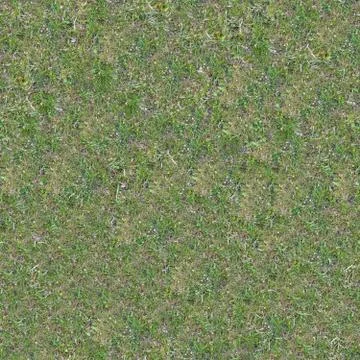 Grassplot with Green and Yellowed Grass. Stock Photos
