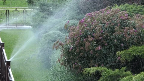 On the grassplot, - the lawn is being irrigated using automatic irrigation. Stock Footage 133824331