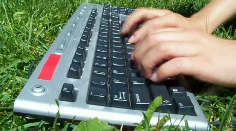 Grasstyping Stock Footage 458330