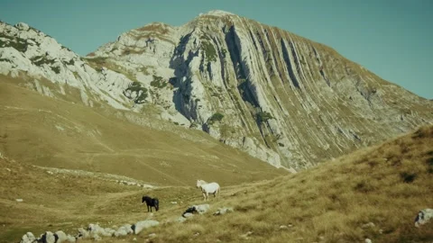 Grassy alpine valley with striated limestone karst ridge and horses Stock Footage 327013563