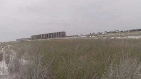 Grassy Beach 02 Видео 78071147