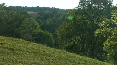 Grassy, breezy hillside with lens flare 2 Stock Footage 24643130