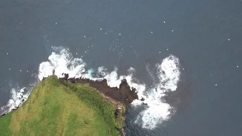 Grassy cliff in Iceland 스톡 동영상 257043469