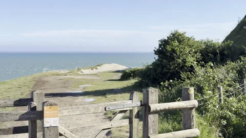 Grassy cliff trail overlooking sea panning Stock Footage 336515197