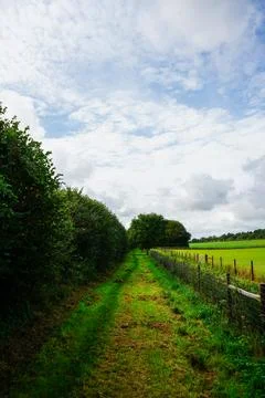 Grassy country path between trees and fields Stock Photos