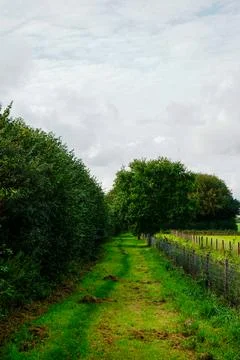 Grassy country path between trees and fields Stock Photos