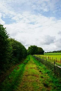 Grassy country path between trees and fields Stock Photos