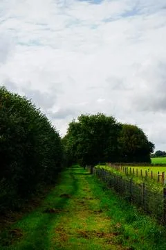 Grassy country path between trees and fields Stock Photos