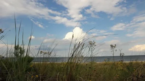 Grassy Dune over the Sea Stock Footage 12019160