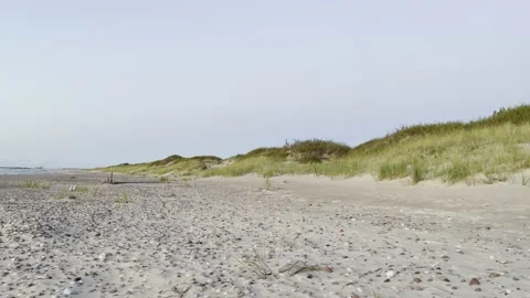 Grassy dunes after sunset Stock Footage 218225957