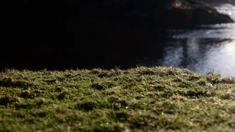 Grassy Edge Near Side Angle Aasleagh Falls. Erriff, Ireland. 4K60 Stock Footage 239400718
