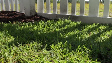Grassy fence shadow, static @5100% Stock Footage 25912434