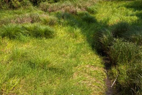 Grassy field and stream Stock Photos