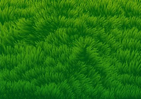 Grassy Field background-Vector Illustration Stock Illustration