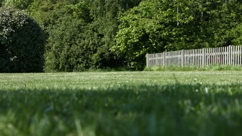 Grassy field Video stock 130588241