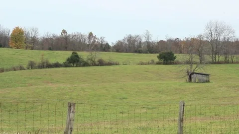 Grassy Field with Hut Stock Footage 75035311