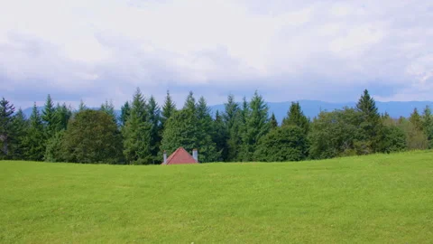 A grassy field leads to a forest, with a small rooftop barely visible above Stock Footage 305107886