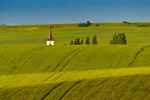 Grassy field Stock Photos