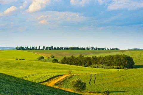 Grassy field Stock Photos