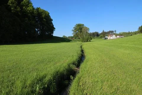 A grassy field with a small stream running through it Stock Photos
