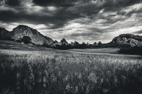 Grassy field before a storm. Stock Photos