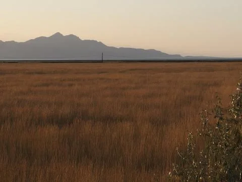 Grassy field at sunset Stock Photos