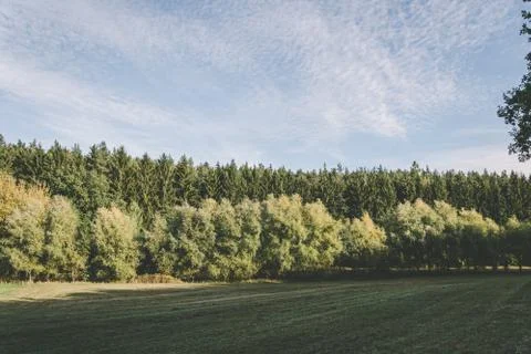 Grassy field surrounded by trees under a cloudy blue sky Stock Photos