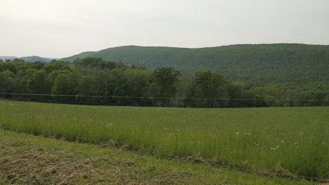 Grassy Field Tracking Shot Stock Footage 87138626