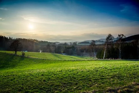 Grassy Field With Trees in the Distance Stock Photos