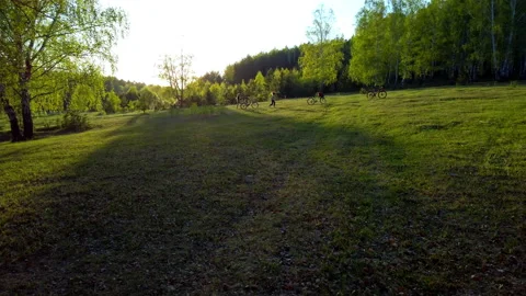 Grassy Field With Trees Stock Footage 275550327